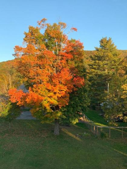 Woodbridge Inn Bed & Breakfast - image 7