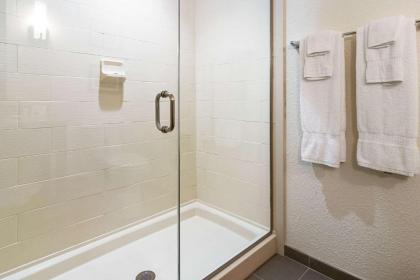 Comfort Suites - image 12