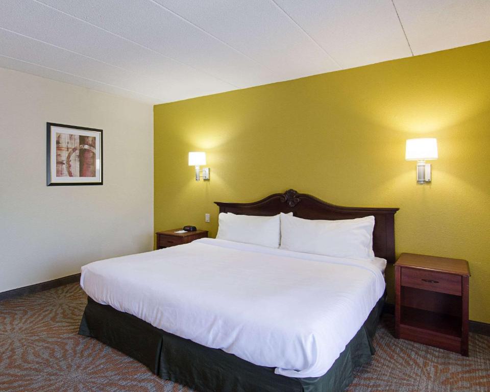 Quality Inn & Suites Worcester - image 3