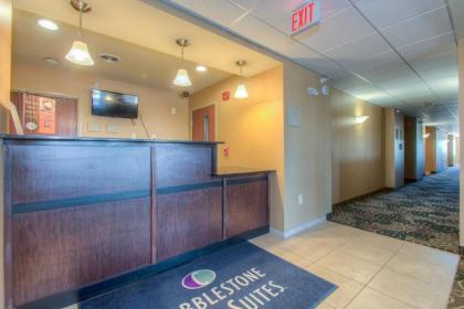 Cobblestone Inn & Suites - Wray - image 7