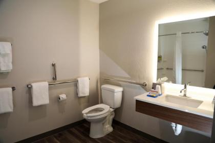 Holiday Inn Express & Suites - Wylie West an IHG Hotel - image 6