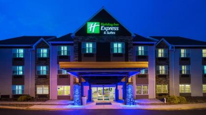 Holiday Inn Express & Suites Wyomissing an IHG Hotel
