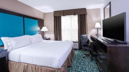 Holiday Inn Express & Suites Wyomissing an IHG Hotel - image 3