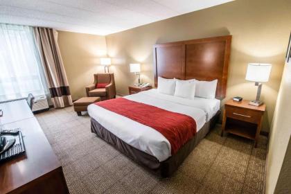 Comfort Inn Wytheville - image 15