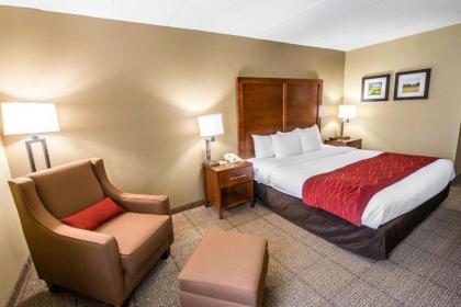 Comfort Inn Wytheville - image 7