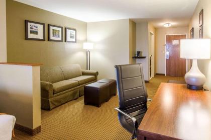 Comfort Suites Wytheville - image 13