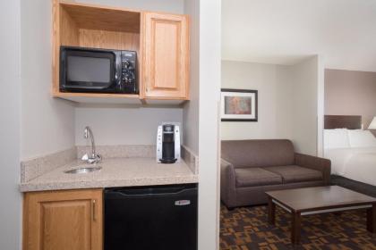 Holiday Inn Express & Suites Yankton an IHG Hotel - image 6