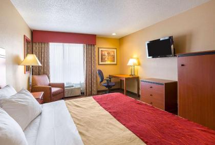 Comfort Inn York - image 11