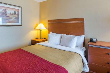 Comfort Inn York - image 15