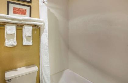 Comfort Inn York - image 8