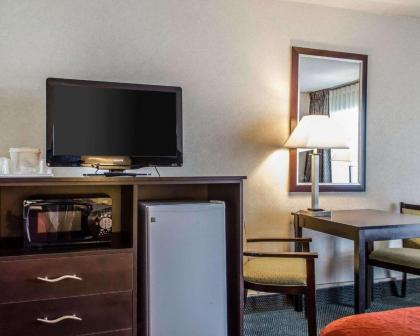 Quality Inn & Suites York - image 3