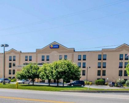 Comfort Inn & Suites York - image 14