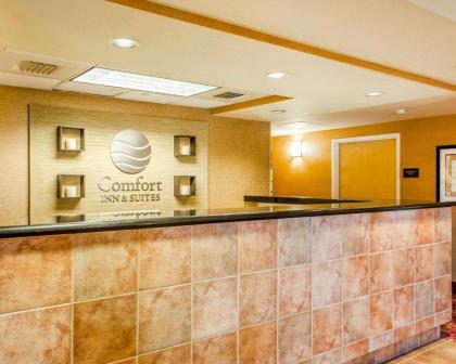 Comfort Inn & Suites York - image 9