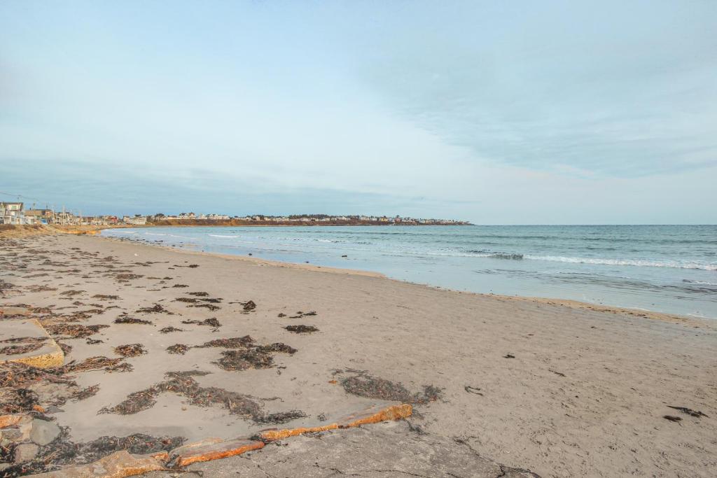 York Starfish Haven - image 3