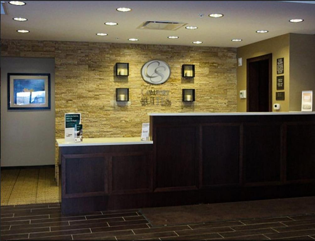 Comfort Suites-Youngstown North - image 2