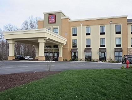 Comfort Suites-Youngstown North - image 3