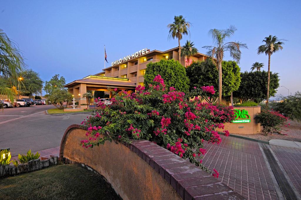 Shilo Inn Yuma - main image