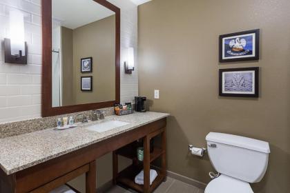 Comfort Inn & Suites Zachary - image 15