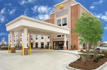 Comfort Inn & Suites Zachary - image 2