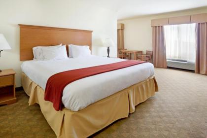 Holiday Inn Express Hotel & Suites Zapata an IHG Hotel - image 10