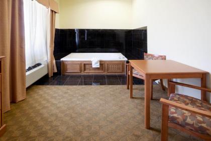 Holiday Inn Express Hotel & Suites Zapata an IHG Hotel - image 16