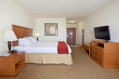 Holiday Inn Express Hotel & Suites Zapata an IHG Hotel - image 18