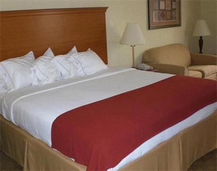 Holiday Inn Express Hotel & Suites Zapata an IHG Hotel - image 2