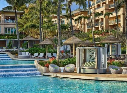 The Ritz-Carlton Maui Kapalua - image 4