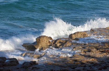 Jupiter Beach Resort & Spa - image 15