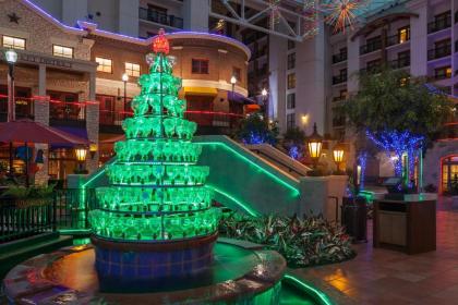 Gaylord Texan Resort and Convention Center - image 3