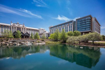 Gaylord Texan Resort and Convention Center - image 9