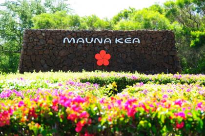 Mauna Kea Beach Hotel Autograph Collection - image 16