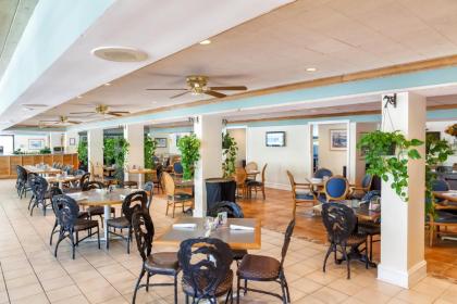 Holiday Inn Key Largo an IHG Hotel - image 11