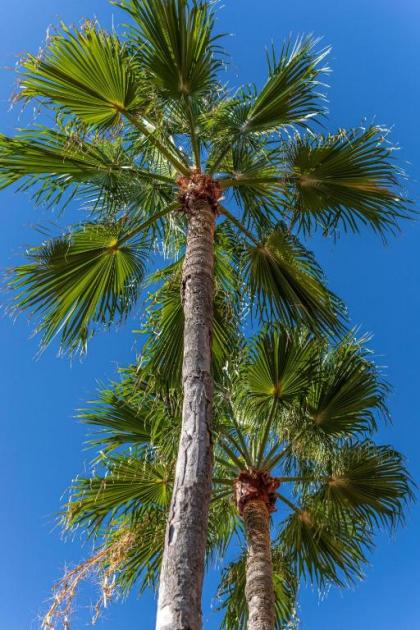 Embassy Suites Deerfield Beach - Resort & Spa - image 4