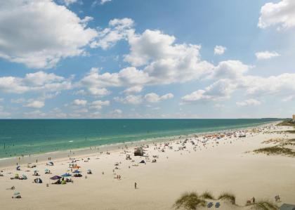 Hilton Clearwater Beach Resort & Spa - image 14