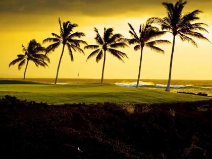 Hilton Waikoloa Village - image 8