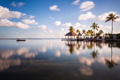 Key Largo Bay Marriott Beach Resort - image 11