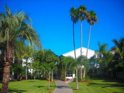 The Beachcomber St. Pete Beach Resort & Hotel - image 9