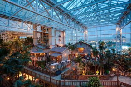 Gaylord Palms Resort & Convention Center - image 16