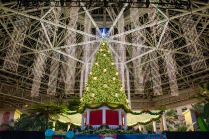 Gaylord Palms Resort & Convention Center - image 3