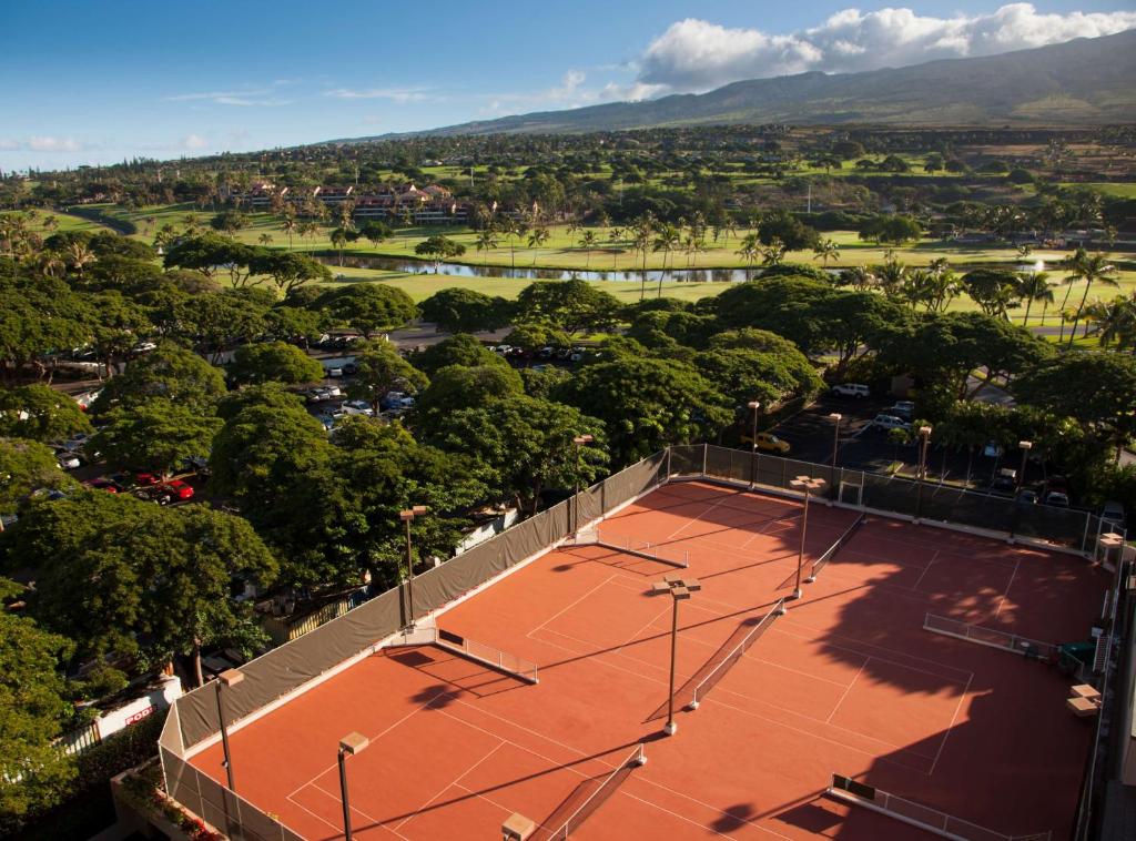 Kaanapali Alii a Destination by Hyatt Residence - image 2