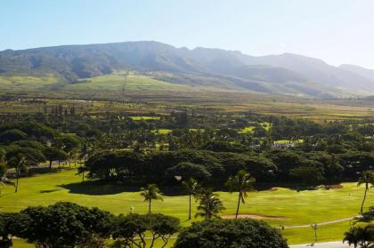 Kaanapali Alii a Destination by Hyatt Residence - image 4