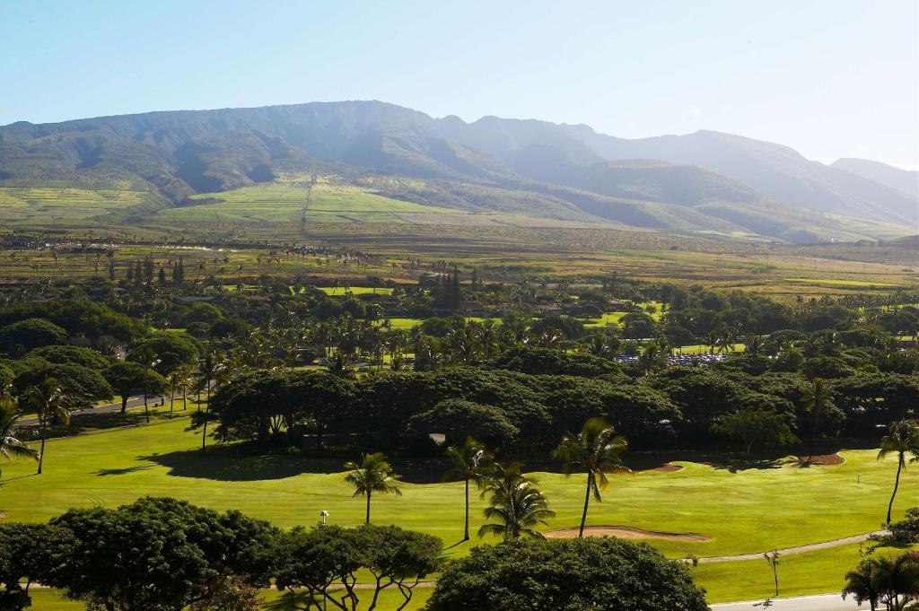 Kaanapali Alii a Destination by Hyatt Residence - image 4