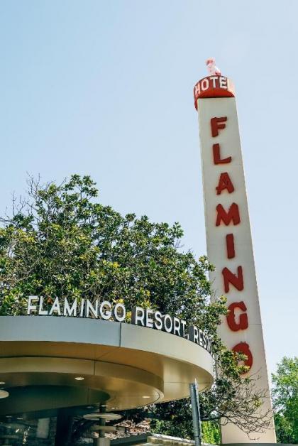 Flamingo Resort California