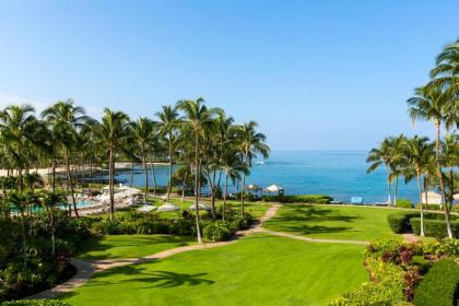 Fairmont Orchid - image 11