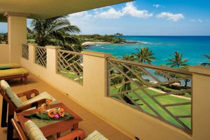 Fairmont Orchid - image 12