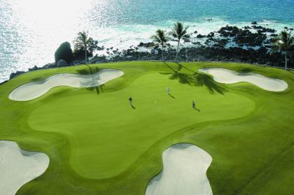 Fairmont Orchid - image 8