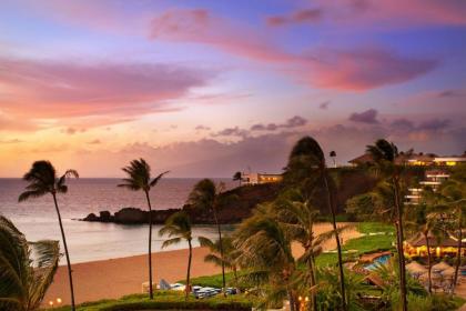 Sheraton Maui Resort & Spa - image 15