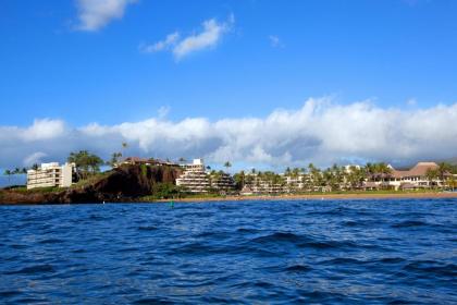 Sheraton Maui Resort & Spa - image 17