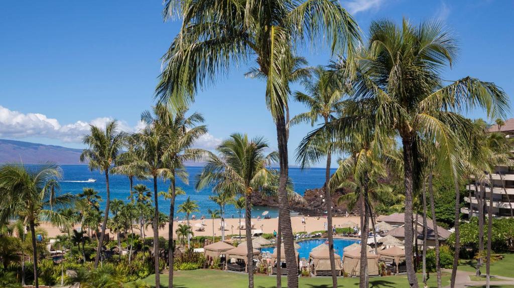 Sheraton Maui Resort & Spa - image 7